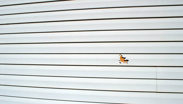 Best Stone Veneer Siding  in Sonoma, CA