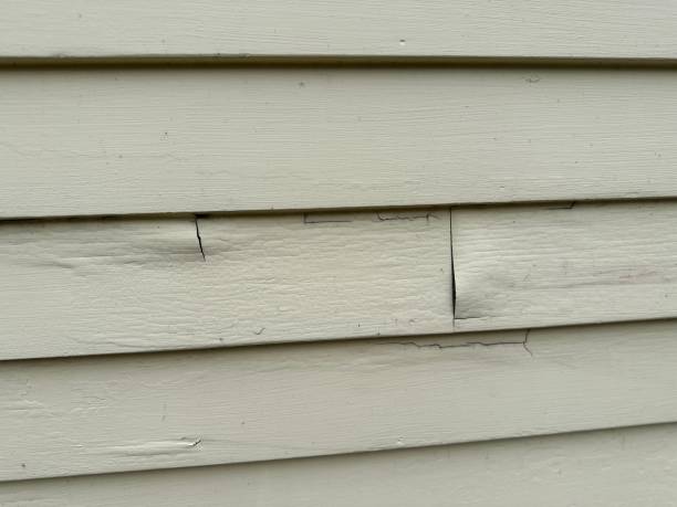 Best Insulated Siding Installation  in Sonoma, CA